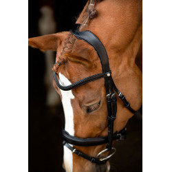 Bridon Montar Normandië gelooid leer Zwart Bridon Montar Normandië gelooid leer Zwart