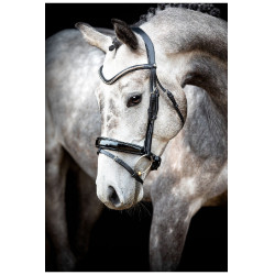 Hoofdstel Montar Normandie Deluxe gelooid leer
