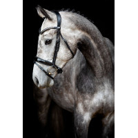 Hoofdstel Montar Normandie Deluxe gelooid leer Zwart Hoofdstel Montar Normandie Deluxe gelooid leer Zwart