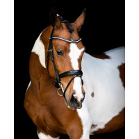 Hoofdstel Montar anatomisch kopstuk Fair Zwart Hoofdstel Montar anatomisch kopstuk Fair Zwart