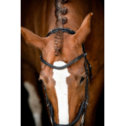 Bridon Montar US Excellence Adapt gelooid leer Zwart Bridon Montar US Excellence Adapt gelooid leer Zwart