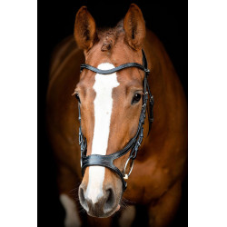 Bridon Montar US Excellence Adapt gelooid leer Zwart Bridon Montar US Excellence Adapt gelooid leer Zwart