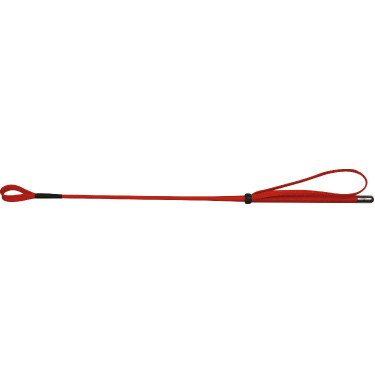 Cravache Whip & Go 53 cm Cravache Whip & Go 53 cm