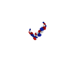 Couronne de fleur Toy Pony LeMieux