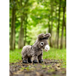 Mini Pony LeMieux Donkey daphne Ezel daphne