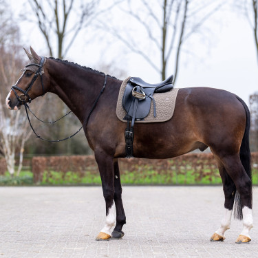 Zadeldekje HV Polo Essential Dressuur Zadeldekje HV Polo Essential Dressuur