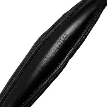 Afneembare lederen borsttuig en martingaal Equestro Zwart