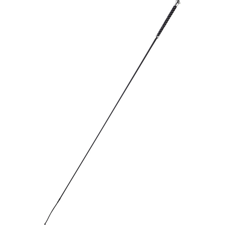 Dressuurzweep Whip & Go Points