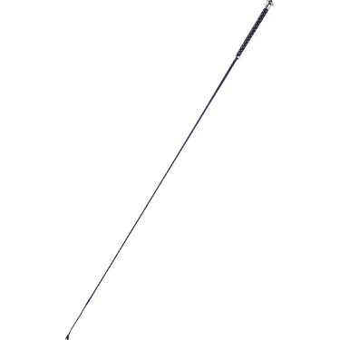 Dressuurzweep Whip & Go Points Dressuurzweep Whip & Go Points