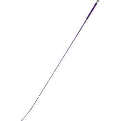Dressuurzweep Whip & Go Points Dressuurzweep Whip & Go Points