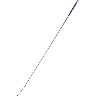 Dressuurzweep Whip & Go Points Dressuurzweep Whip & Go Points