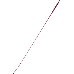 Dressuurzweep Whip & Go Points Dressuurzweep Whip & Go Points