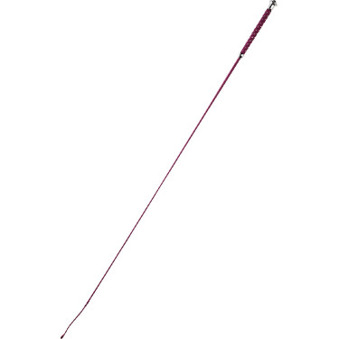 Dressuurzweep Whip & Go Points Dressuurzweep Whip & Go Points