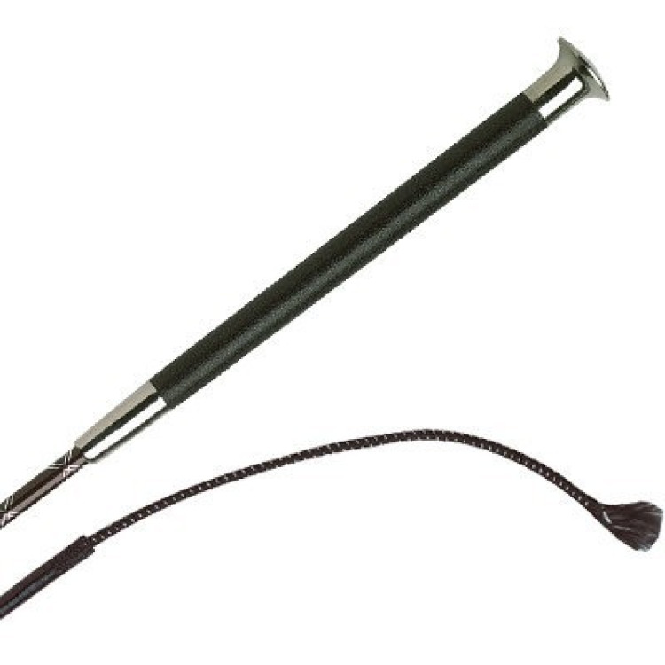 Dressuurzweep Whip & Go Silverline