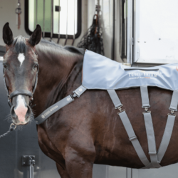 Verwarmde massagepad Equilibrium Grijs