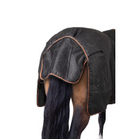 Waterdichte deken Pony Pegasus Horze 200 g Zwart kaviaar