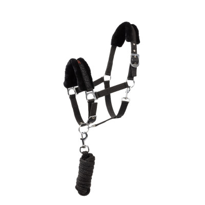 Halster en longe pony Pegasus Horze Zwart