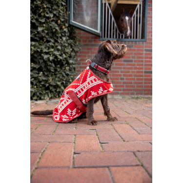 Kerstdeken hond Horze Rood