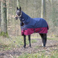 Nekstuk Equithème Tyrex 1200 D 0g Marine / bordeaux Blauw Nekstuk Equithème Tyrex 1200 D 0g Marine / bordeaux Blauw