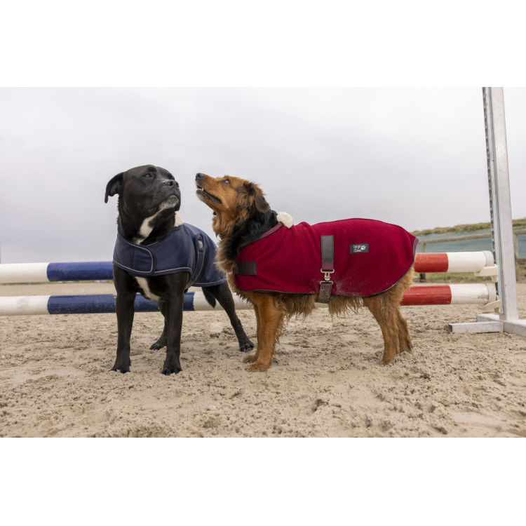 Polar fleece deken Diego & Louna Teddy Polar fleece deken Diego & Louna Teddy