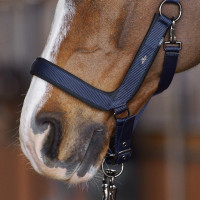 Halster HV Polo Essential Marine Marineblauw