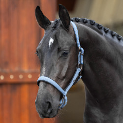Halster HV Polo Essential Halster HV Polo Essential