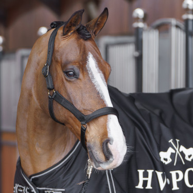 Halster HV Polo Essential Zwart