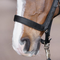 Halster HV Polo Essential Zwart