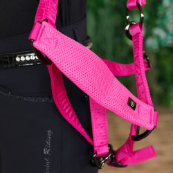 Halster Imperial Riding Cloud Dancer Halster Imperial Riding Cloud Dancer