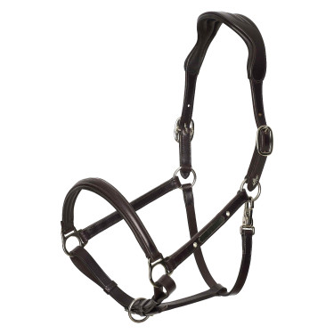 Halster HV Polo Legacy Zwart Halster HV Polo Legacy Zwart