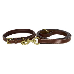 Halsband van de hond HV Polo Legacy Bruin