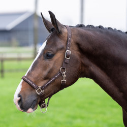Halster HV Polo Nena Halster HV Polo Nena