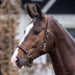 Halster HV Polo Nena Halster HV Polo Nena