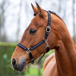 Halster HV Polo Nena Halster HV Polo Nena