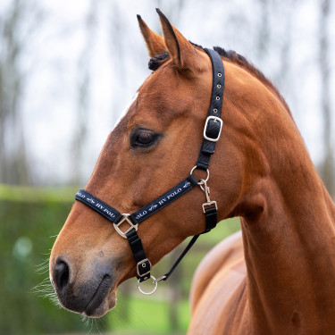 Halster HV Polo Nena Halster HV Polo Nena