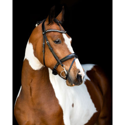 Hoofdstel Montar anatomisch kopstuk Fair Zwart Hoofdstel Montar anatomisch kopstuk Fair Zwart