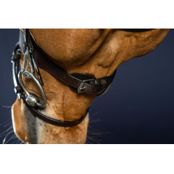 Plat Lederen Hulpteugel Met Musketons Working by Dy'on Plat Lederen Hulpteugel Met Musketons Working by Dy'on