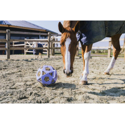 Speelbal / hooirol Kentucky Lavendel Violet Speelbal / hooirol Kentucky Lavendel Violet