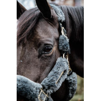 Kopstuk Halster voor transport schapen Kentucky Zwart