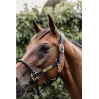 Kopstuk voor Anatomisch Halster van leer Kentucky Bruin