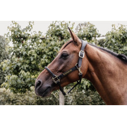 Kopstuk voor Anatomisch Halster van leer Kentucky Zwart