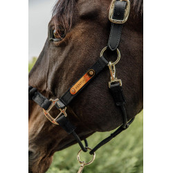 Hoofdstel Controle Halster Kentucky Zwart