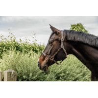 Hoofdstel voor Flexibele Kentucky Halster Bruin