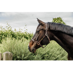 Hoofdstel voor Flexibele Kentucky Halster Bruin