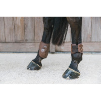 Elastische kogelbeschermer Kentucky Zwart Elastische kogelbeschermer Kentucky Zwart