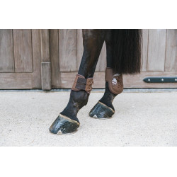 Elastische kogelbeschermer Kentucky Bruin Elastische kogelbeschermer Kentucky Bruin