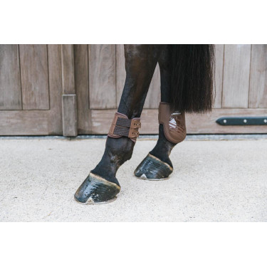 Elastische kogelbeschermer Kentucky Bruin Elastische kogelbeschermer Kentucky Bruin