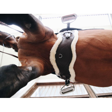 Afneembare schapenvacht voor korte anatomische singel Kentucky Afneembare schapenvacht voor korte anatomische singel Kentucky