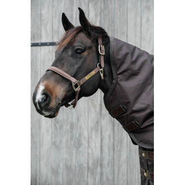 Nekbeschermer All Weather Waterdicht Pro Kentucky Nekbeschermer All Weather Waterdicht Pro Kentucky