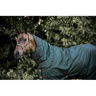 Nekbeschermer All Weather Waterdicht Pro Kentucky